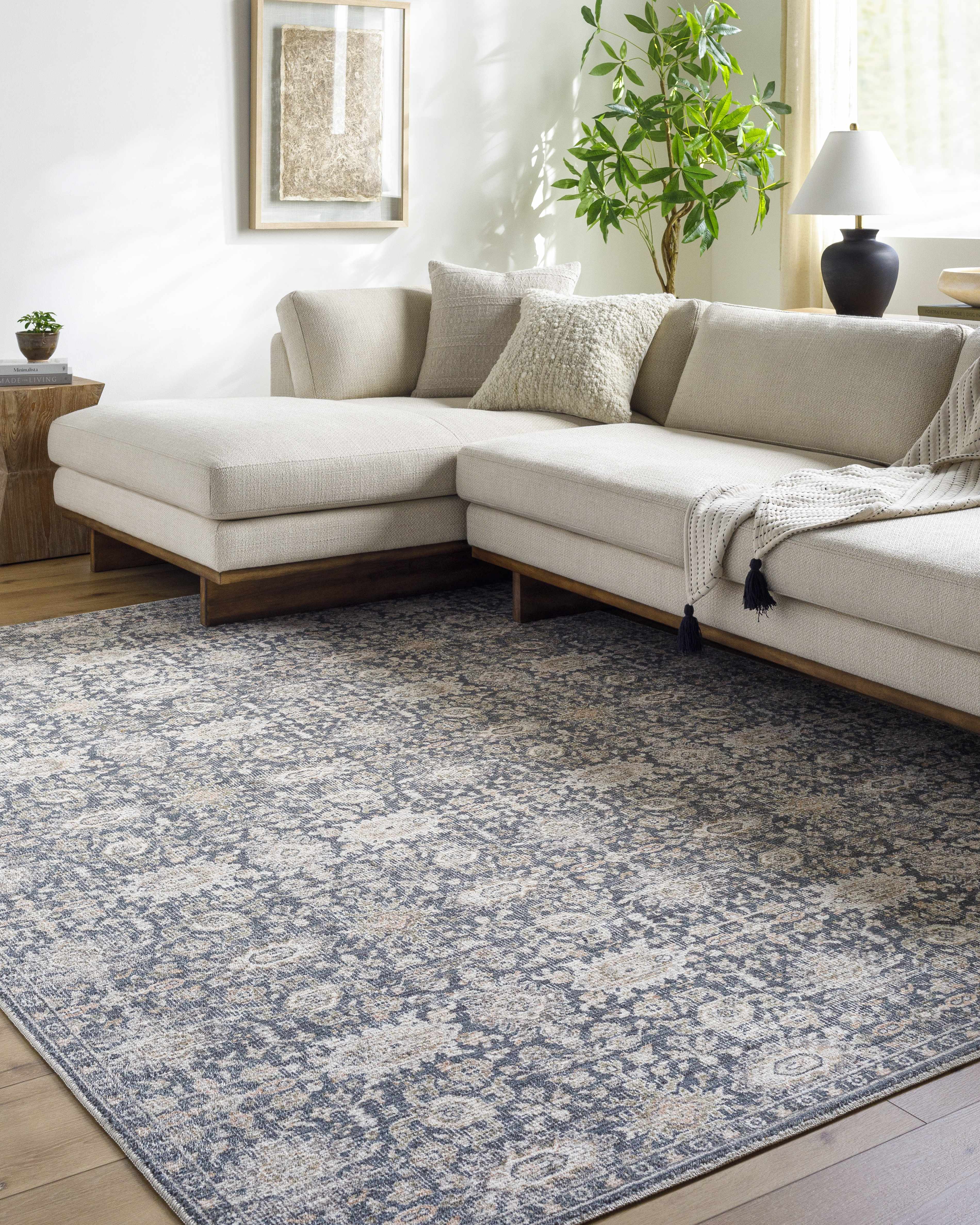 Semaj Area Rug