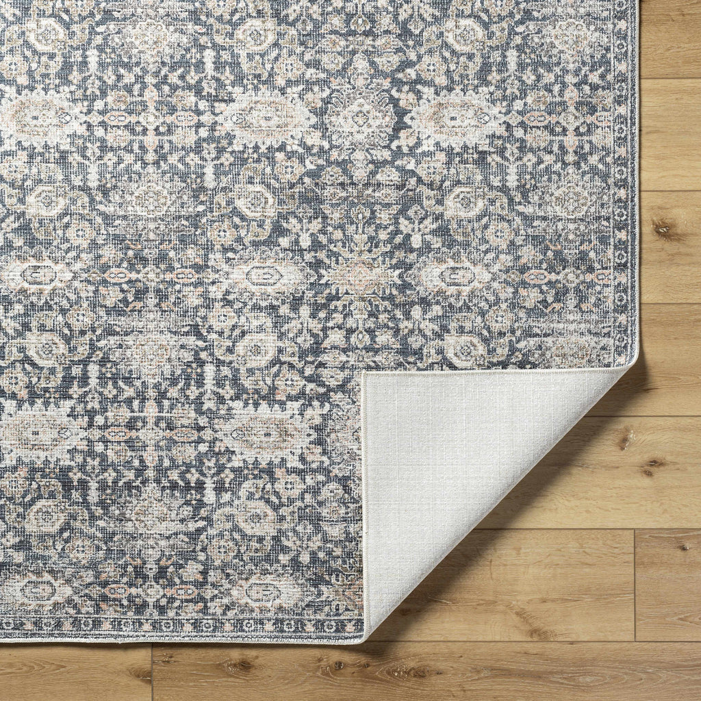 Semaj Area Rug
