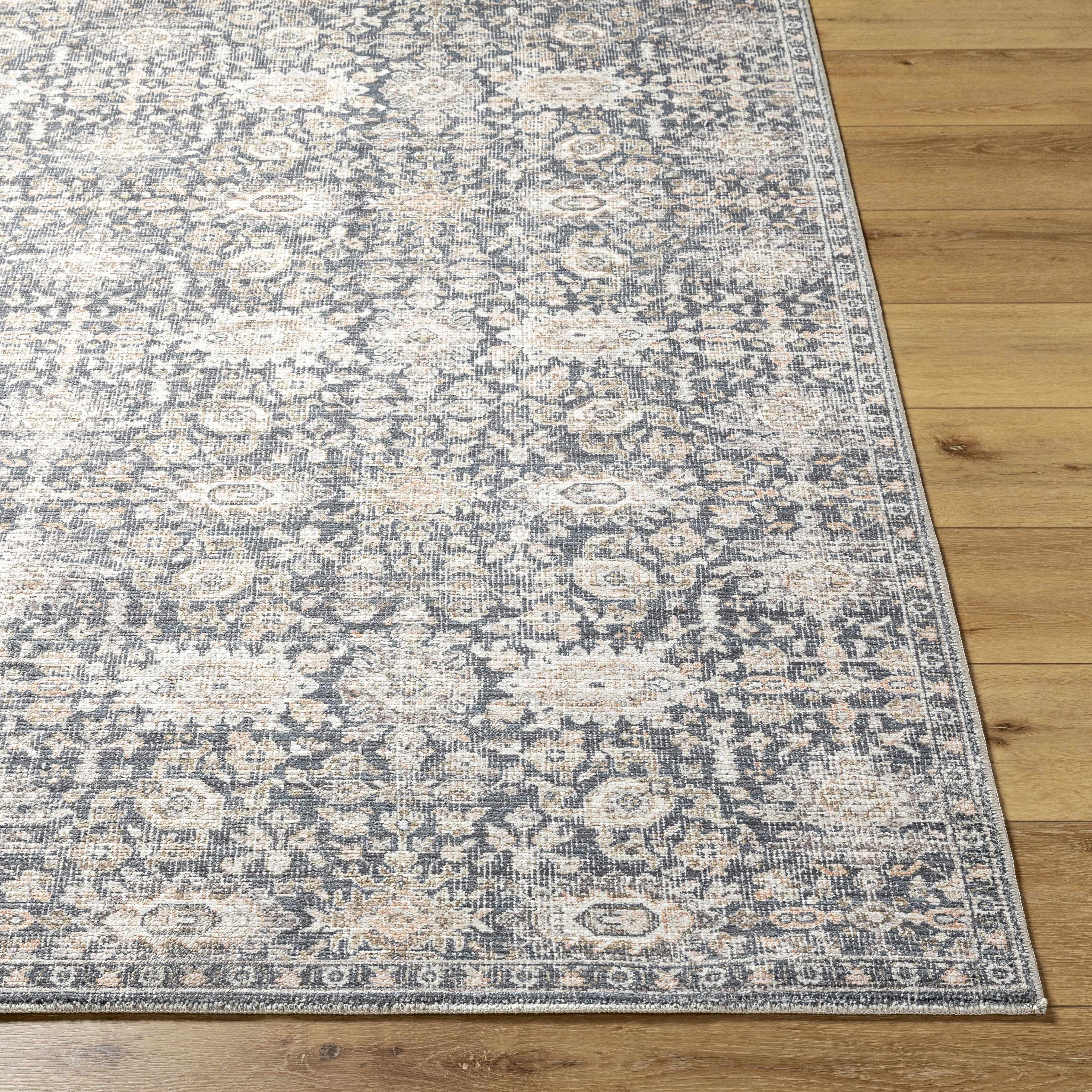 Semaj Area Rug