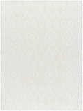 Hoshi Area Rug