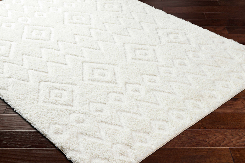Hoshi Area Rug