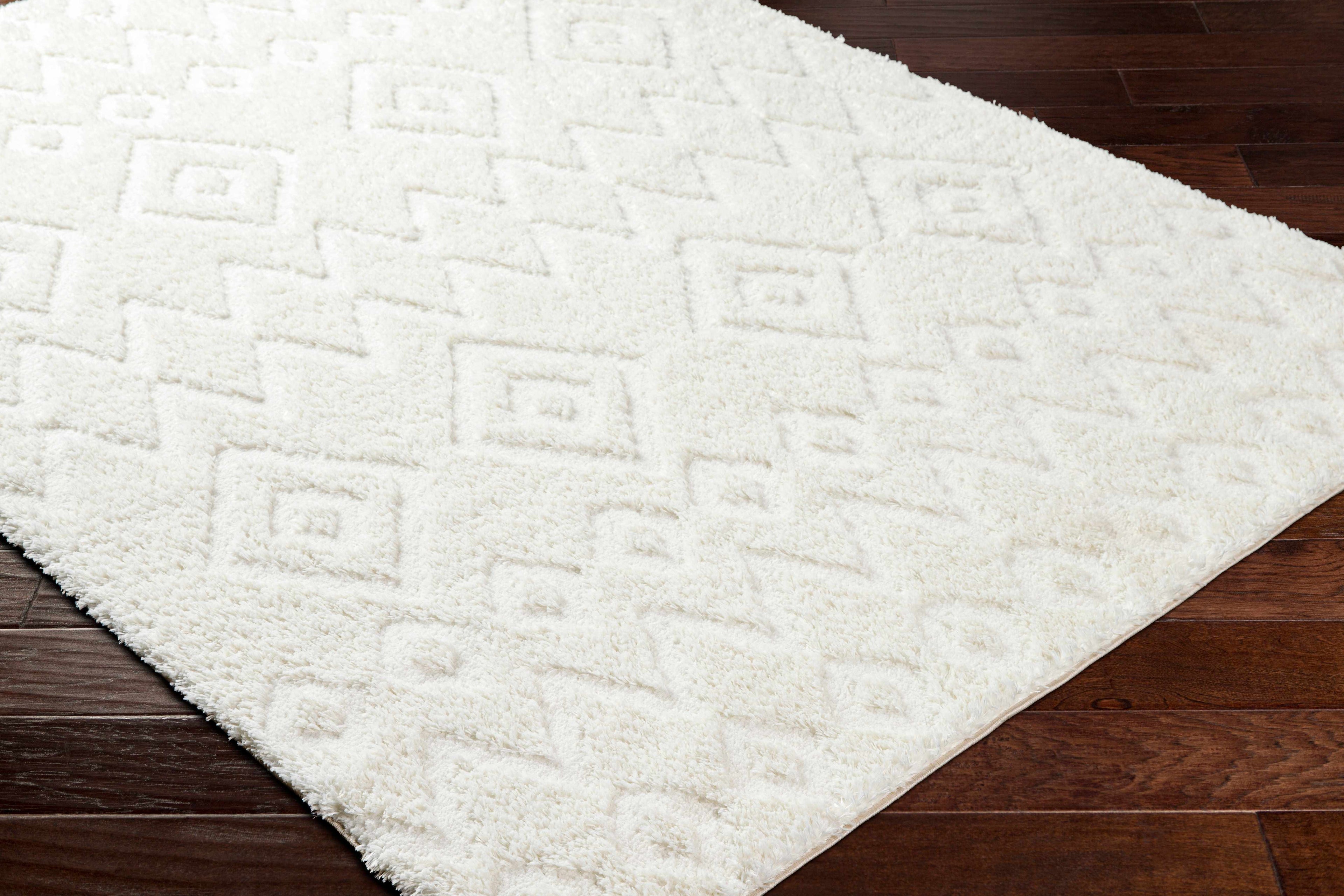 Hoshi Area Rug
