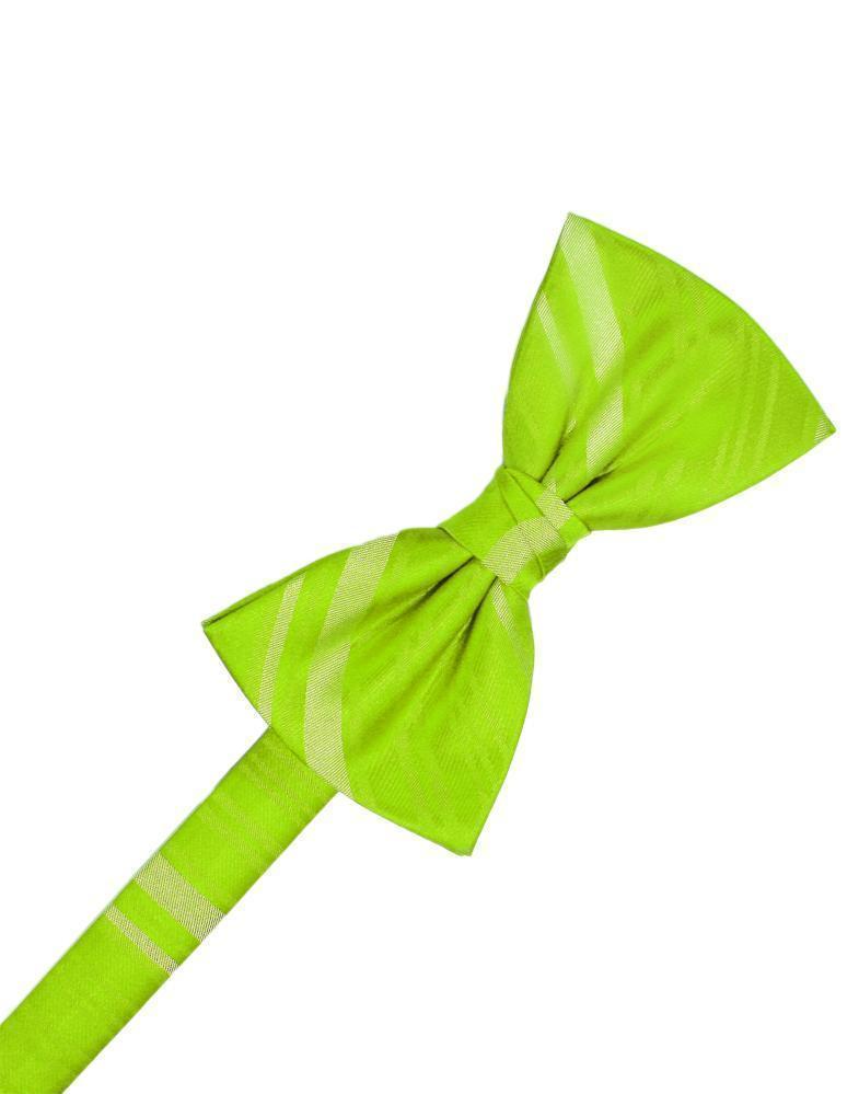 Striped Satin Kids Bow Tie