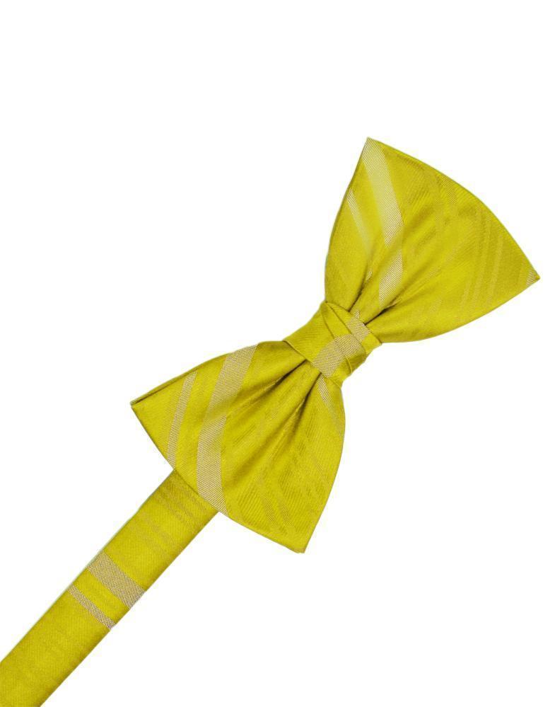 Striped Satin Kids Bow Tie