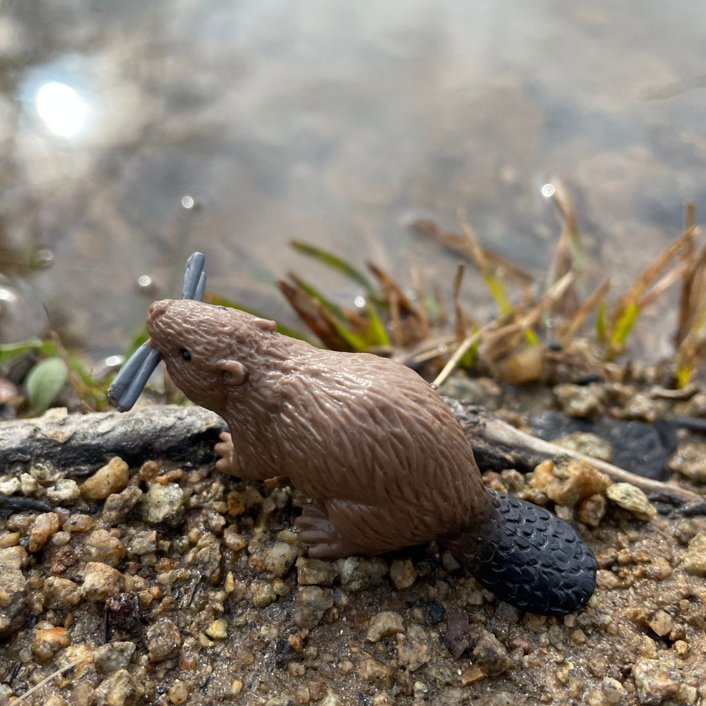 River Animal Toys TOOB®-4