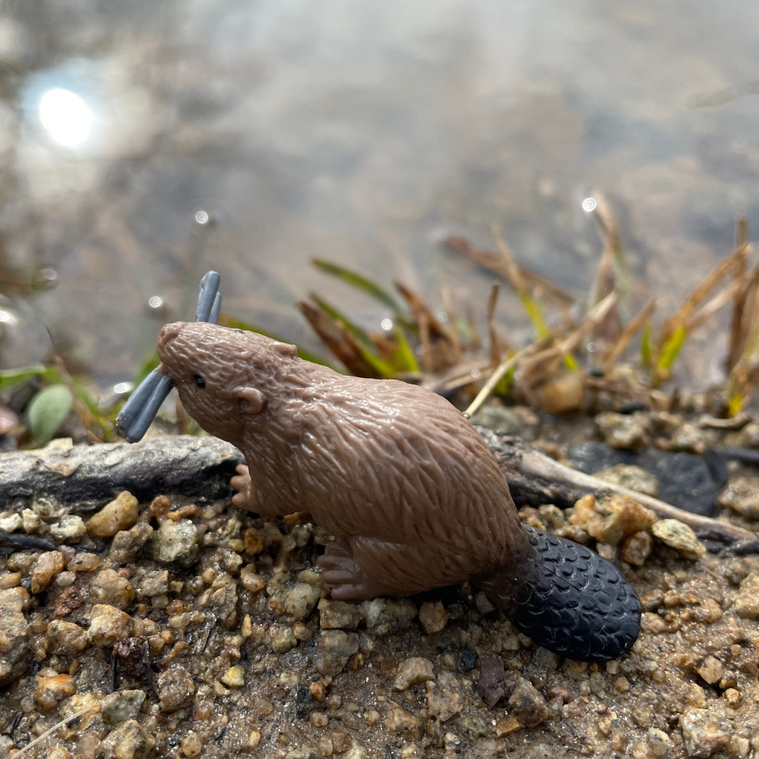 River Animal Toys TOOB®-4