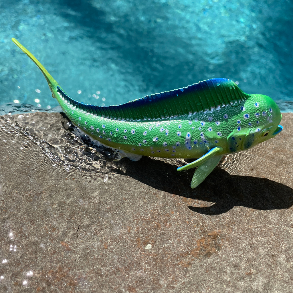 Mahi-Mahi Toy Fish Figure-3