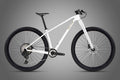 Warrior Pro - LT - Twitter Carbon Mountain Bike
