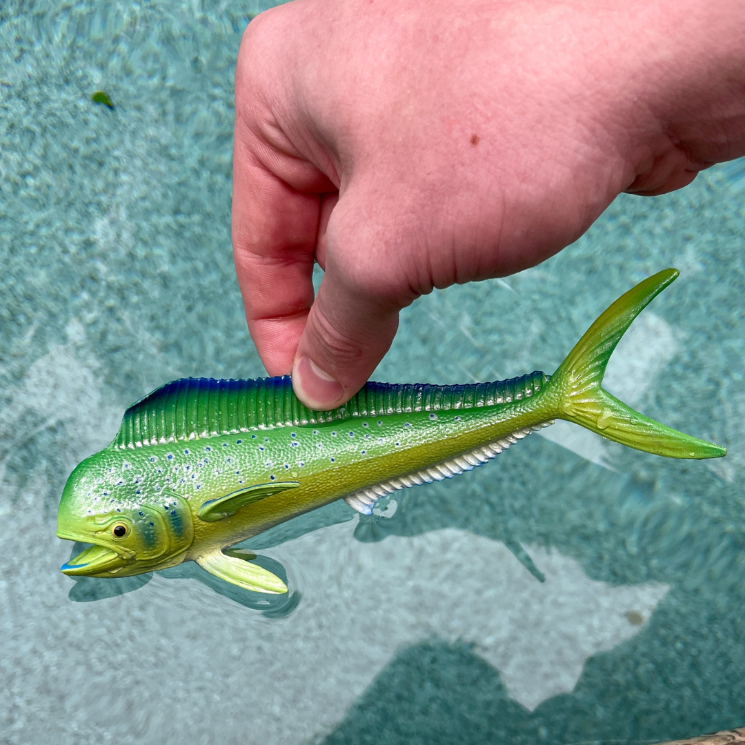Mahi-Mahi Toy Fish Figure-2